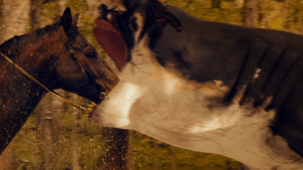 Shark Shock 2017 hoarsie, no!!.png