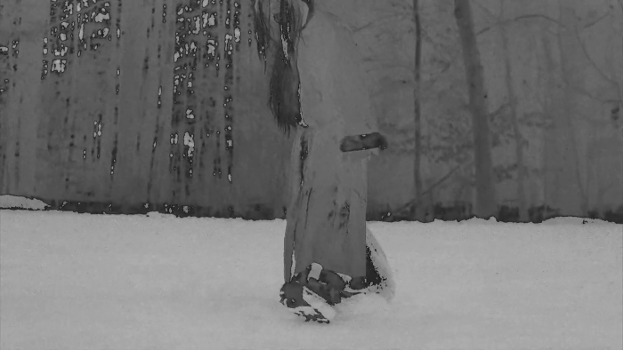 Krampus The Christmas Devil 2013 the chrismas contrast.png