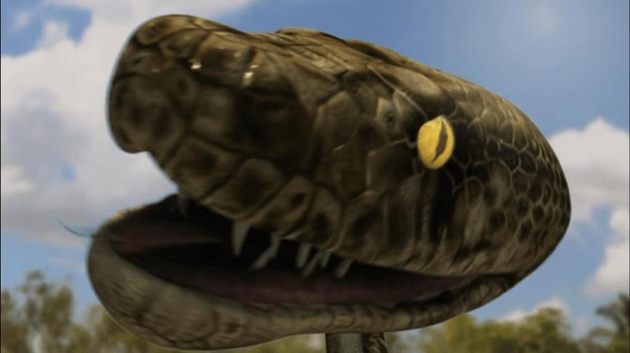 Mega Python VS Gatoroid 2011 pythonator