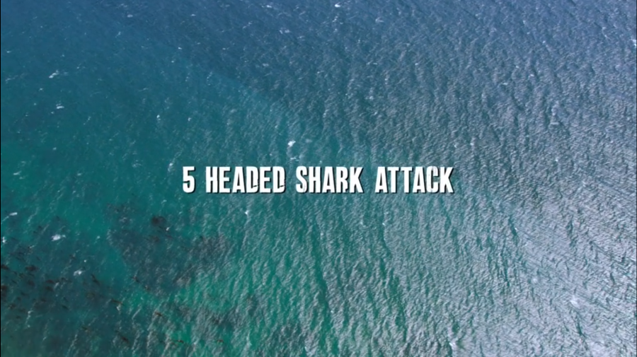 5 Headed Shark Attack 2017