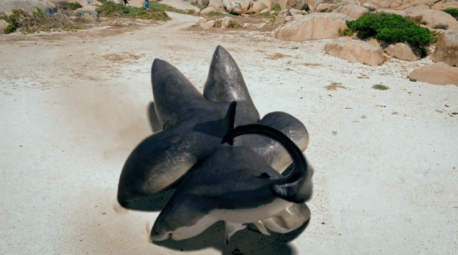 6 Headed Shark Attack 2018 a shark, allegedly