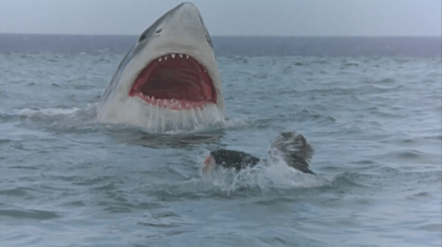 Cruel Jaws 1995 chomp