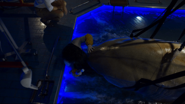 Deep Blue Sea 2 2018 this shark looks pretty dang good, though