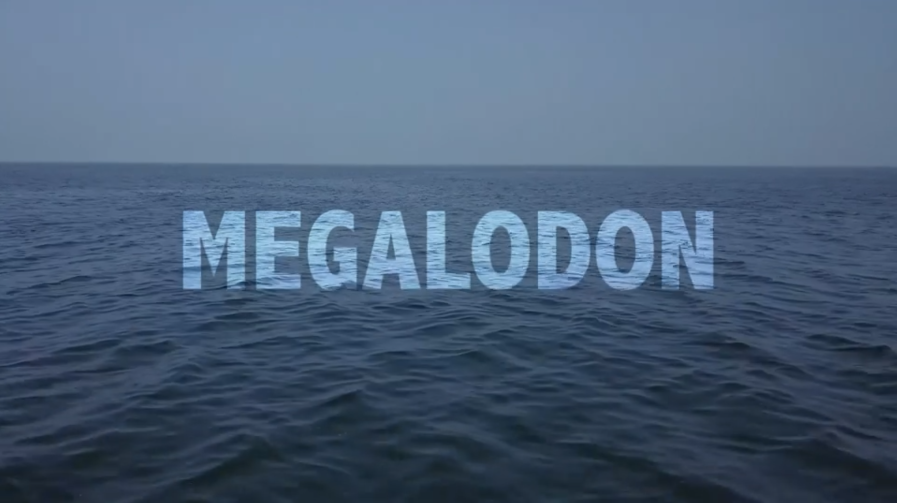 Megalodon 2018