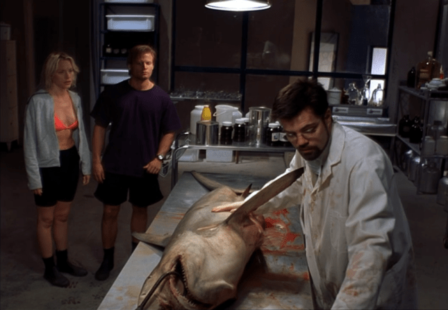 Shark Attack 1999 shark autopsy