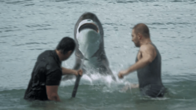 Shark Week 2012 double teaming the shark