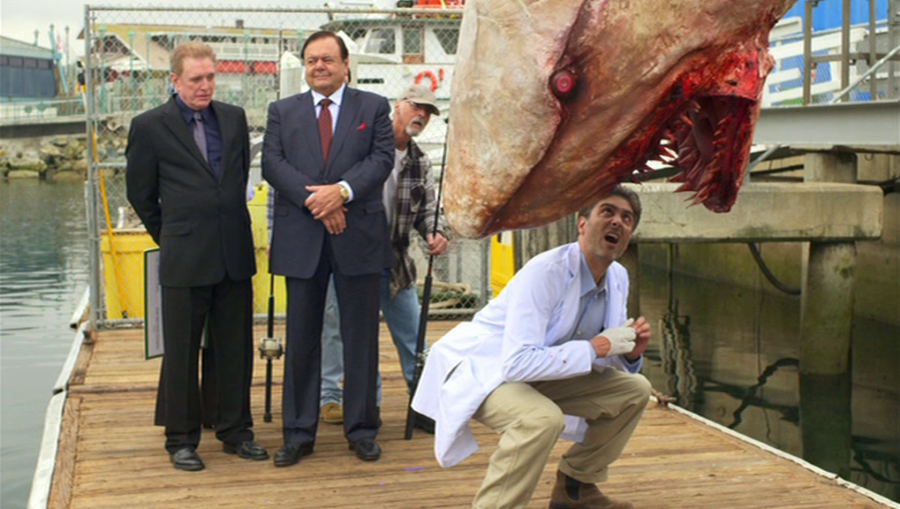 Jersey Shore Shark Attack 2012 checkin it out.png