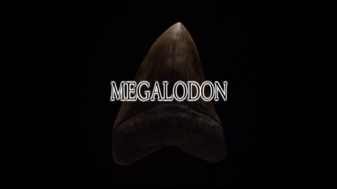 Megalodon AKA Sharkzilla 2002.png