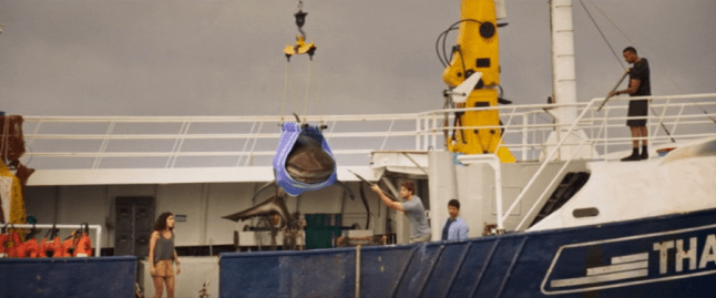 Deep Blue Sea 3 2020 dont move or he gets it.png